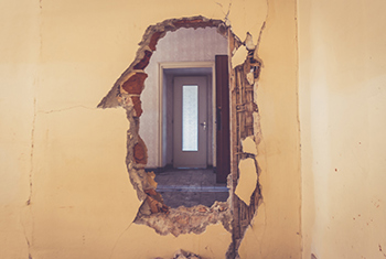 400X262 Delpidations